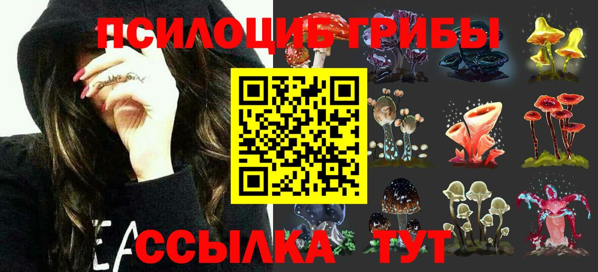 Псилоцибиновые грибы Psilocybe Кушва